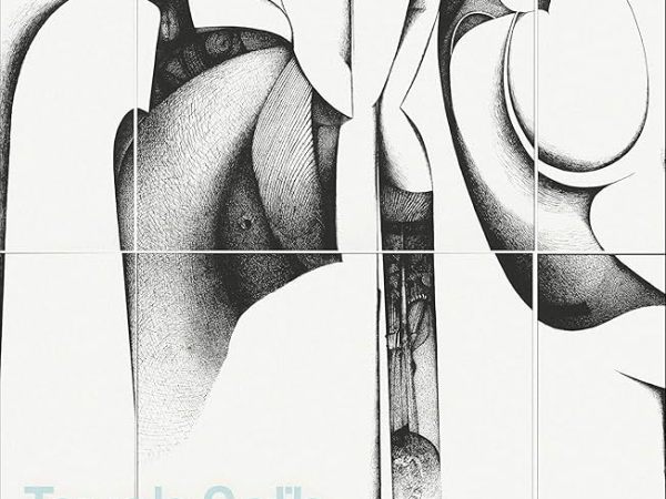 Lies and Disease: how colonialism distorts identity in al-Ṭayyib Ṣāliḥ’s ‘Season of Migration to the North’ 